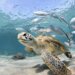 How You Can Protect the Ocean and Help Save Marine Life from Home