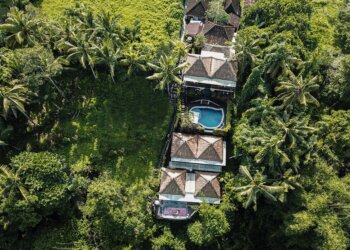 BaoBar: Artisan Asian Dining in Pererenan