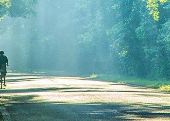 Untouched Bali: West Bali National Park