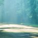 Untouched Bali: West Bali National Park