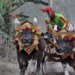 Livelihoods in West Bali