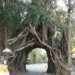west bali