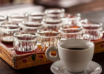 Tasting Luwak Coffee