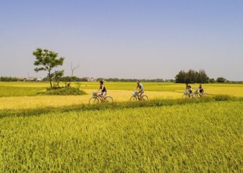 Cycling in Ubud