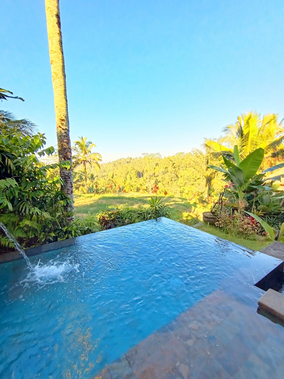 resort ubud