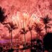 Best Venues to Celebrate NYE 2025