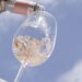 Sparkling Triumph: Indonesian Women Redefine Wine