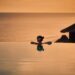 Venues to Experience the best Sunset in Bali