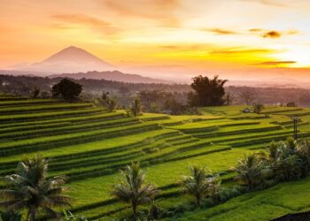 Exploring Tabanan in One Day