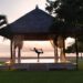 Keep Yourself Fit at All Times – Bali’s Best Yoga Centres