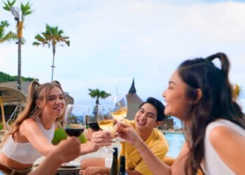 From Beach Picnics to Elegant Dinners: Dragonfly Wines for Every Festive Mood