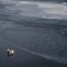 Bali’s Recommended Wedding Venues