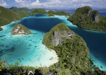 Bali Foreign Investment Advisory Service: Guiding International Investment in Bali and Indonesia