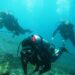 Dive Deeper: Discover Bali’s Beauty Beneath the Surface with PADI