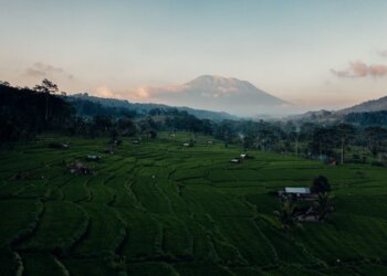 Bali’s Eco-friendly Initiatives: Sustainable Travel and Conservation Projects