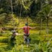 Top 10 Adrenaline Activities in Bali