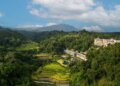 Discover Bali Differently with Stay For Good by Banyan Group at Homm Saranam Baturiti