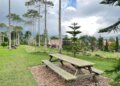 A Whimsical Day at Bali Farm House