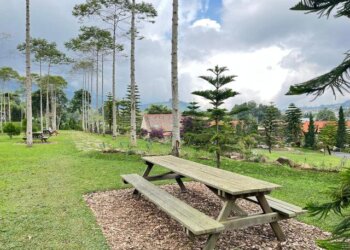 A Whimsical Day at Bali Farm House
