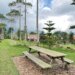 A Whimsical Day at Bali Farm House