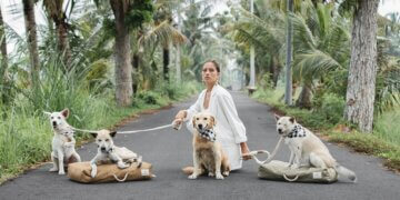 A Romantic Dinner by Ulaman’s Twin Waterfalls — A Moment Made Just for Two