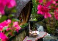 A Romantic Dinner by Ulaman’s Twin Waterfalls — A Moment Made Just for Two