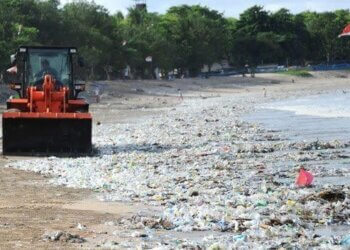 Bali Water Foundation Forms Collaboration with Indonesia’s Dynapack Asia’s Innovation Lab To Begin Trials On Asia’s First Plant-Based Reusable Water Bottle