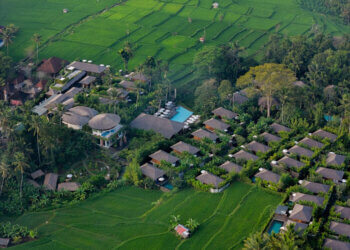 Lens With Purpose: Sustainability in Every Shutter