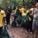 GREENER TOGETHER: Hotels Unite to Bring Life Back to Bali’s Mangroves