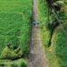 Kappa Senses Ubud Announces “Run With Purpose” 5K Charity Event