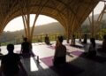 Zen in the Tropics: Finding Your Flow in Bali’s Best Retreats
