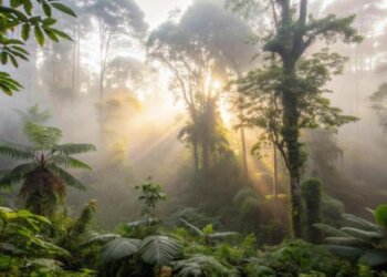 Disappointments … in Bali?