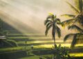 From Australia to Bali: Navigating Entry into Indonesia’s Evolving Market
