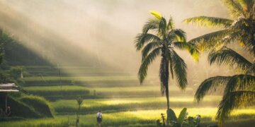 From Australia to Bali: Navigating Entry into Indonesia’s Evolving Market