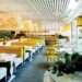 What Sydney and Bali Can Learn From Each Other’s Hospitality Evolution