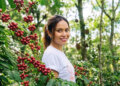 Film Studios, Coffee Farms and Hospitals: How Bali Real Estate Makes Money Without a Single Villa